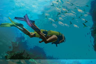 Caribbean Special Offers